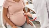 A doctor listens to a pregnant woman’s abdomen using a stethoscope. (Krakenimages.com / Adobe Stock)
