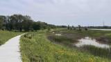 A new overlook gives visitors a panoramic view of Marian Byrnes Park’s 140 acres, a mix of woodland, wetland and slag prairie. (Patty Wetli / WTTW News)