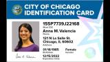 A mock-up of the city's municipal identification card. (City of Chicago)