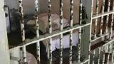 A restrictive housing cell at Pontiac Correctional Center from a 2019 expert report in Davis v. Jeffreys, a lawsuit over restrictive housing conditions filed by Uptown People’s Law Center.