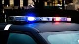 Police lights are pictured in a file photo.  (Capitol News Illinois file photo)