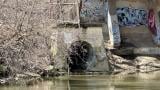 An outfall on the North Branch of the Chicago River. (Patty Wetli / WTTW News)