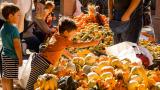 Apple Fest. (Courtesy of the Lincoln Square Ravenswood Chamber of Commerce)