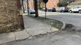 A sidewalk in Roscoe Village is pictured in an April 2024 file photo. (Jared Rutecki / WTTW News)