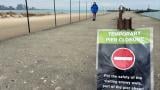 The Chicago Park District has placed signage at Montrose pier, announcing a temporary closure to protect visiting snowy owls. (Courtesy Chicago Park District)