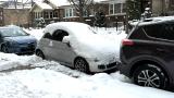 Record snowfall blanketed Chicago over the Thanksgiving weekend. (Patty Wetli / WTTW News)