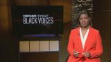 (WTTW News) (WTTW News)