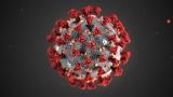 This illustration provided by the Centers for Disease Control and Prevention in January 2020 shows the 2019 Novel Coronavirus (2019-nCoV). This illustration provided by the Centers for Disease Control and Prevention in January 2020 shows the 2019 Novel Coronavirus (2019-nCoV).
