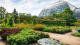 Garfield Pak Conservatory's greenhouse and outdoor gardens are described as "serene and enveloping." (Garfield Park Conservatory / Facebook) Garfield Pak Conservatory's greenhouse and outdoor gardens are described as "serene and enveloping." (Garfield Park Conservatory / Facebook)