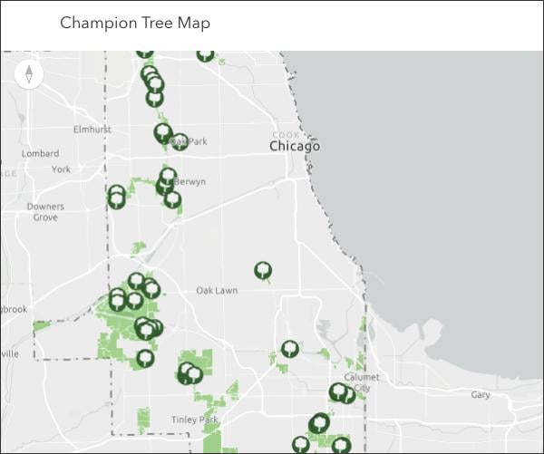 The Forest Preserve District of Cook County just released an interactive map of its champion trees. (Forest Preserve District of Cook County)