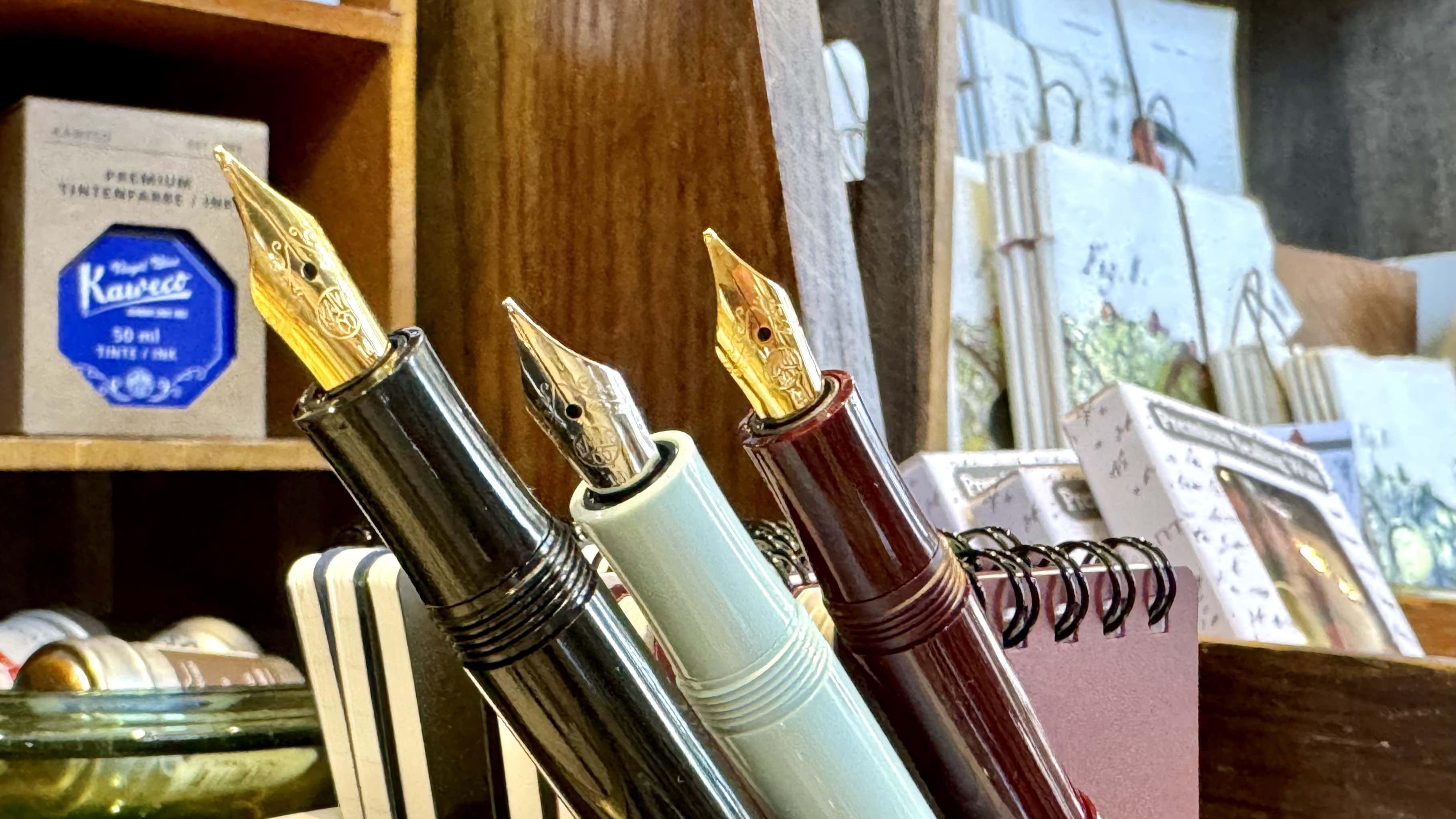 Fountain pens, with their characteristic metal nibs, are in style again. (Patty Wetli / WTTW News)