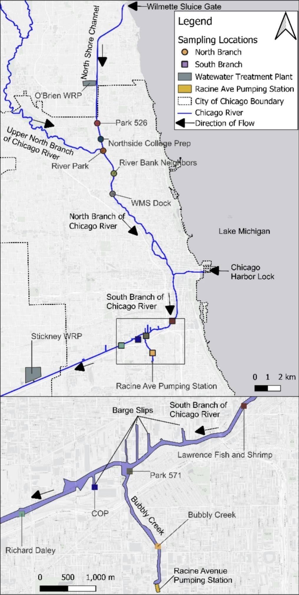 Sites on the Chicago River where larval fish were captured for a study led by Shedd Aquarium. (Shedd Aquarium)