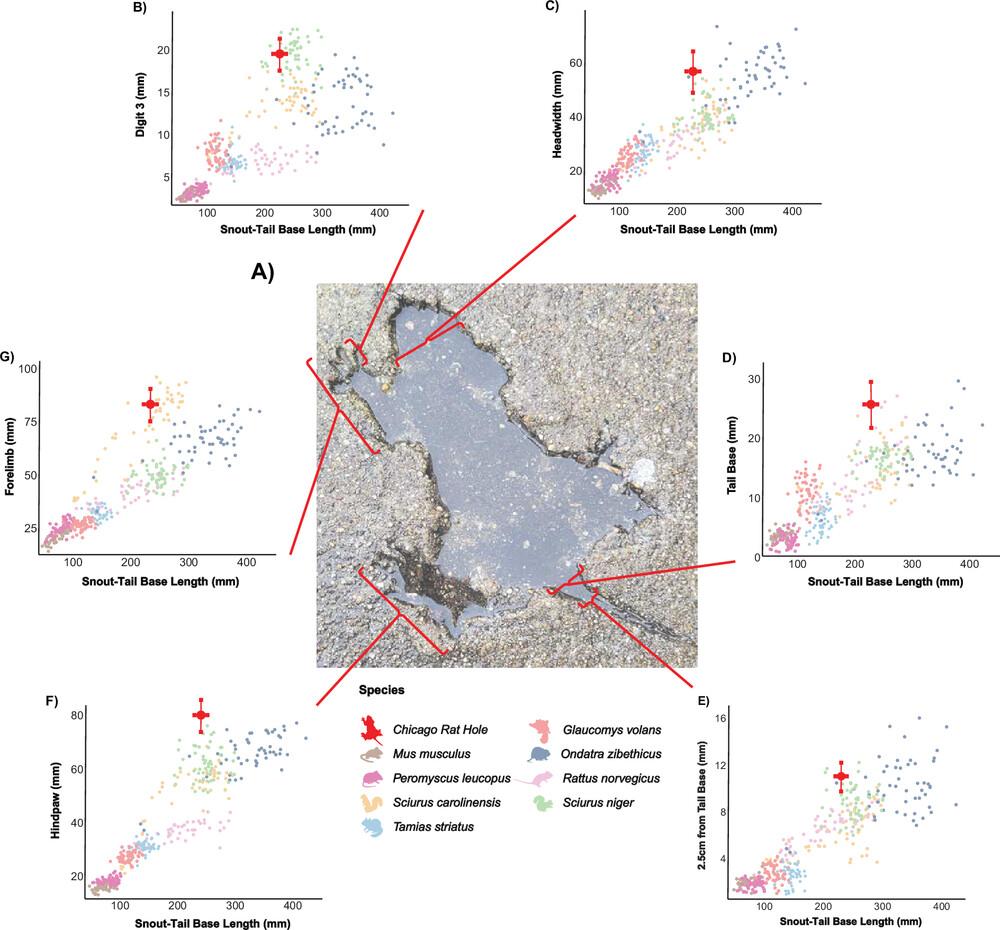 (Royal Society journal of Biology Letters)