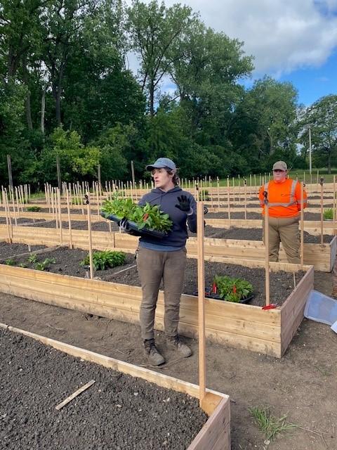 Molly Marz (foreground), the seed amplification program project manager, building a raised bed garden for native seeds to be used in Cook County forest preserve restoration projects. (Courtesy Forest Preserve District of Cook County)