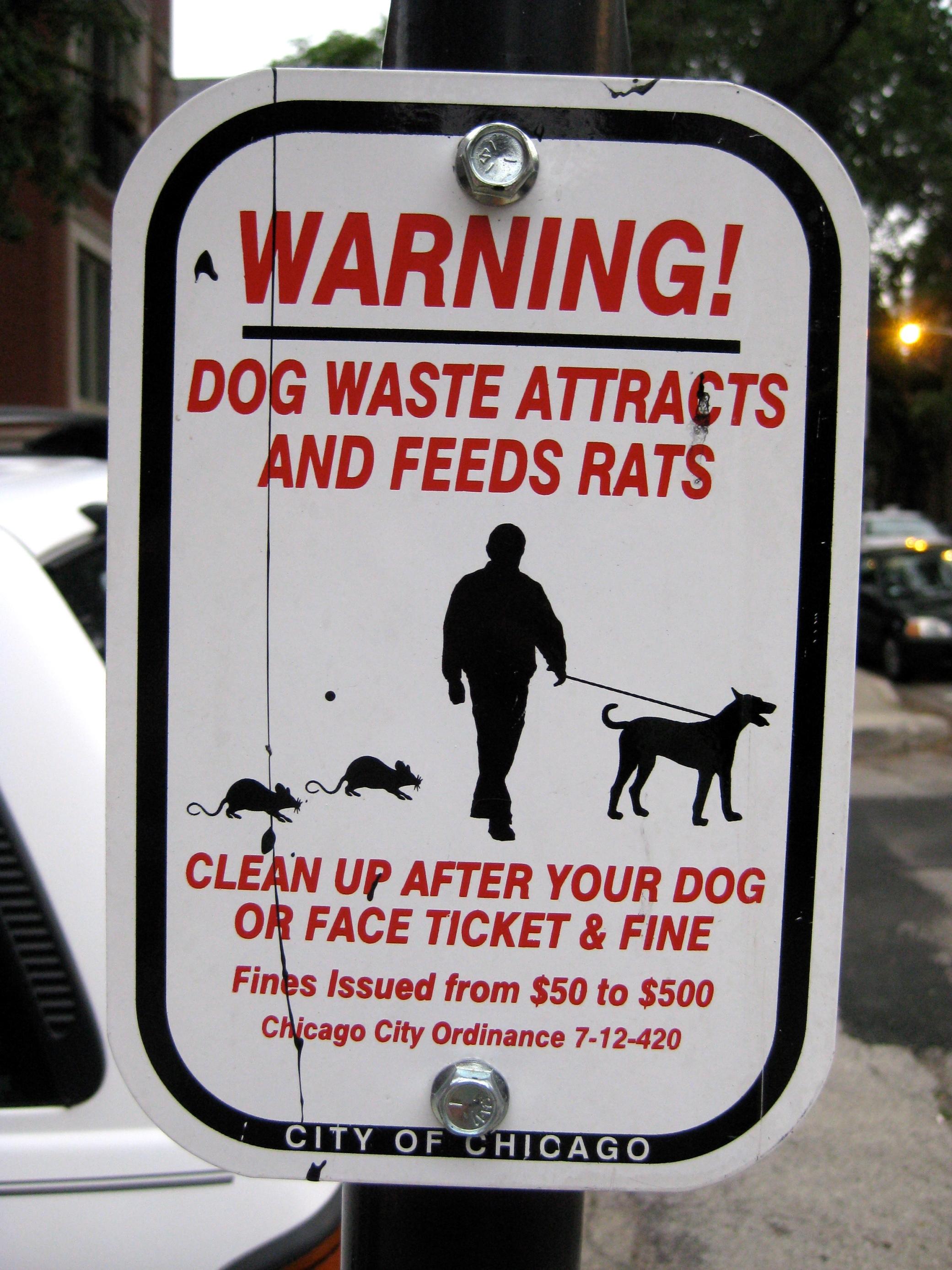 SIGNS OF RODENT PROBLEMS ➔ Are your dogs upset? Do you see small