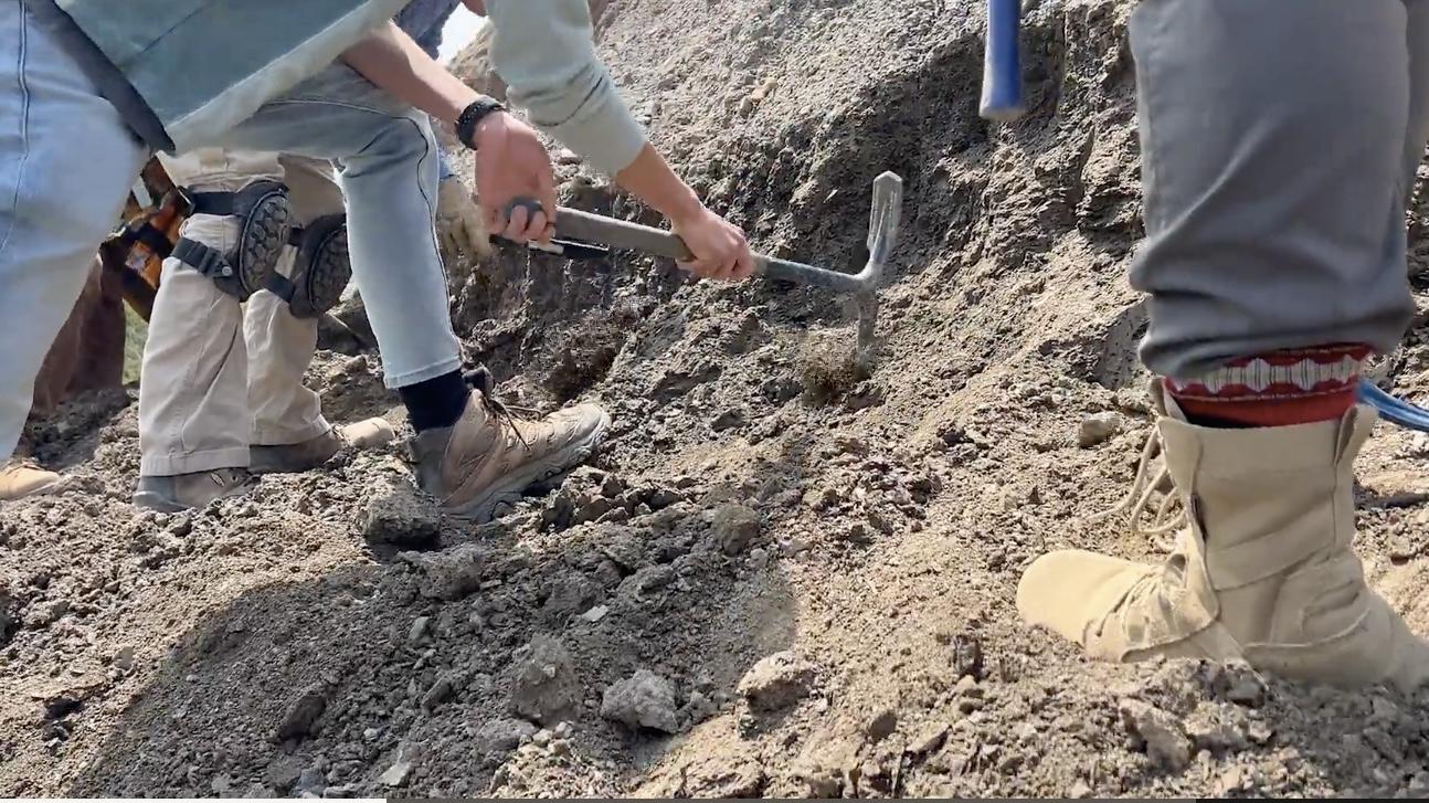 Digging for buried treasure, in this case fossils. (Courtesy of the Field Museum)