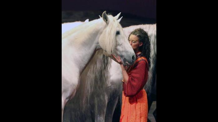 (Courtesy of Cavalia)