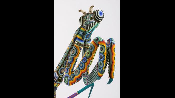 Jan Huling, 'Das Bug,' 2015. (Courtesy of SOFA Chicago)