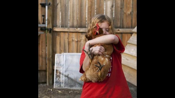 Colleen Plumb, "Holding Backyard Chicken," photograph, 2012.