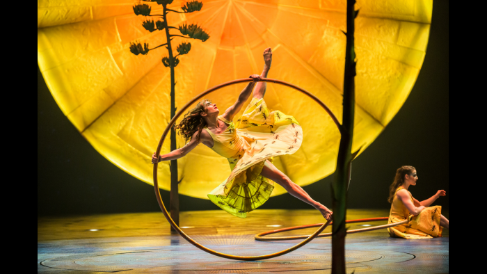 (Photo: Matt Beard © 2017 Cirque du Soleil)