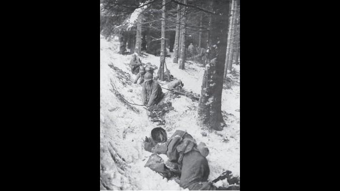 (Credit: Kobi Swissa of Swissa Creative)