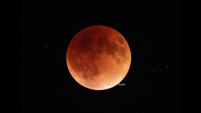 Photo by Dalia Kava: Willowbrook