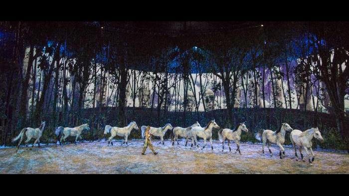 Jak Wonderly (Courtesy of Cavalia)