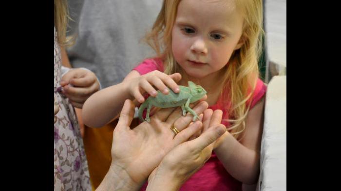 (Courtesy of Reptile Fest)
