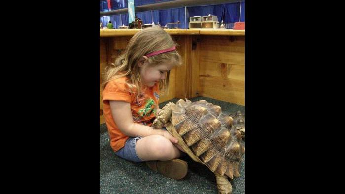(Courtesy of Reptile Fest)