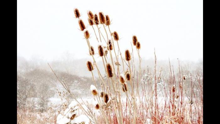 Just one of those days at Baker’s Lake Nature Preserve (Submitted by Michelle Akins)