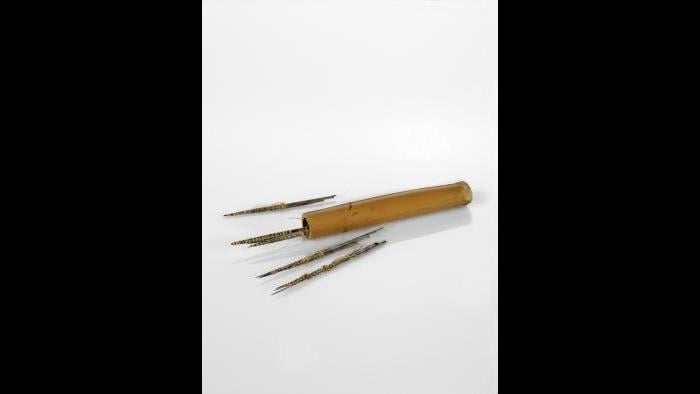 Argentine tattooing tools made of cactus needles. (Courtesy of The Field Museum)