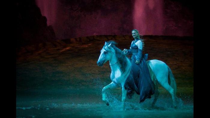 Dominick Gavel (Courtesy of Cavalia)