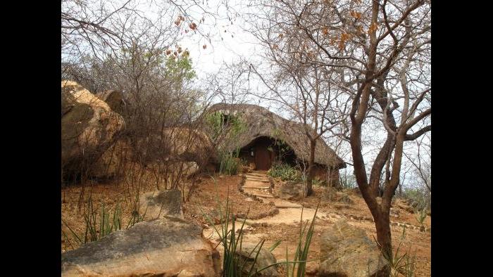 Photo taken during African safari by Terri Colby.