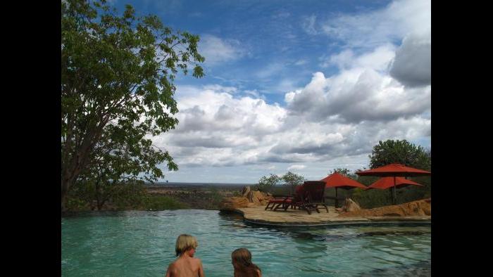 Photo taken during African safari by Terri Colby.