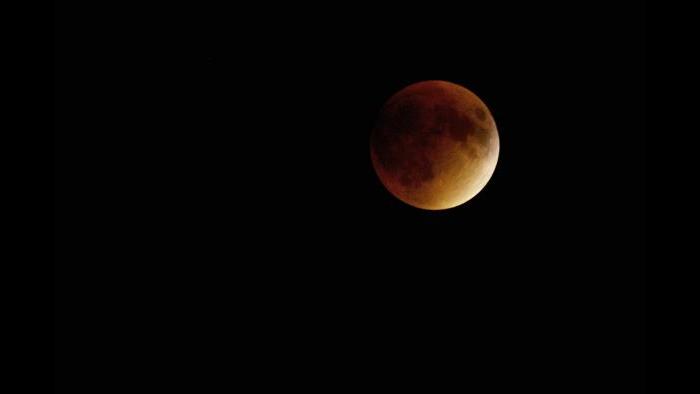 Photo by Jaculin Bowman: Taken from my driveway in Geneva. I was so grateful that our piece of the night sky was cloudless for this awesome event!