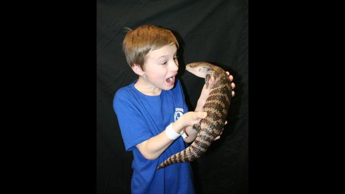 (Courtesy of Reptile Fest)
