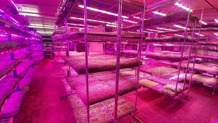 Closed Loop's indoor farm at The Plant. (Courtesy of Closed Loop Farms)