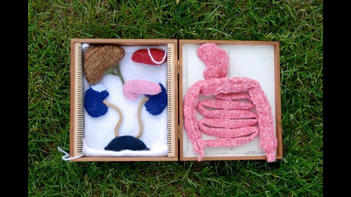 Knitted intra-abdominal organs (Courtesy of Daniel Lam)
