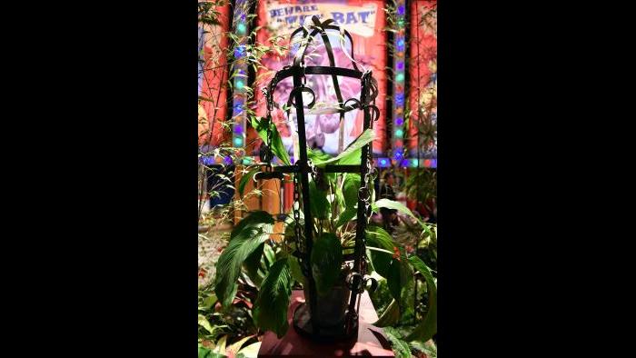 The 2017 Flower Show (Credit: Daniel Boczarski for Macy’s)