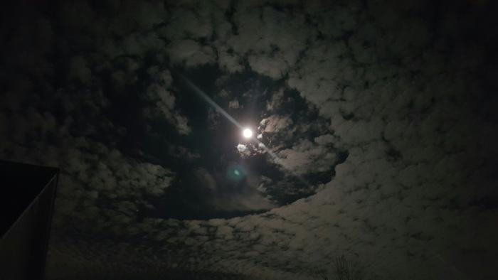 Photo by David Wilson: Interesting cloud formation that looks like and Angelfish around the supermoon