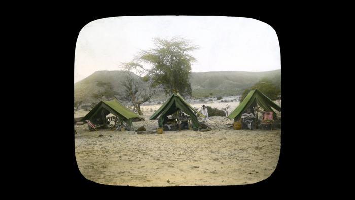 (© The Field Museum, CSZ5941_LS, Photographer Carl Akeley.)