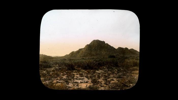 (© The Field Museum, CSZ6052_LS, Photographer Carl Akeley.)