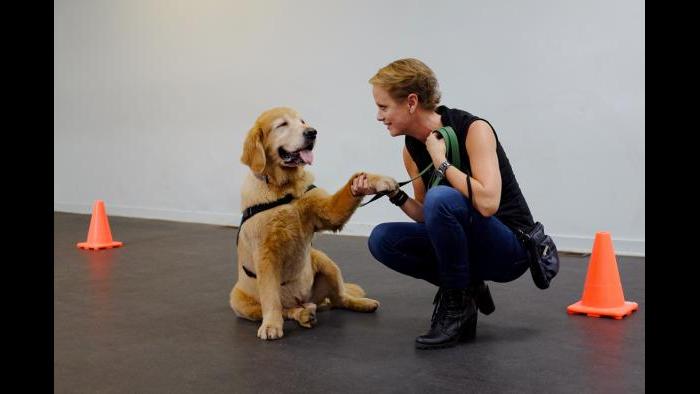 Best Dog Whisperer: Rendy Schuchat at Anything Is Pawzible