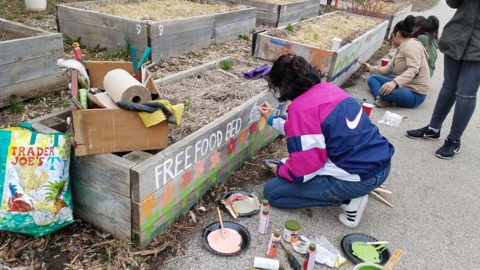 Food grown in some of El Paseo's gardening beds is free for the taking. (Courtesy of El Paseo Community Garden)