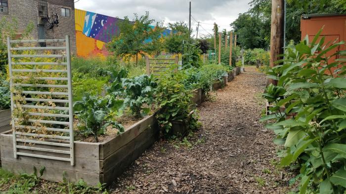 El Paseo's raised garden beds were built on a former brownfield site. (Courtesy of El Paseo Community Garden)