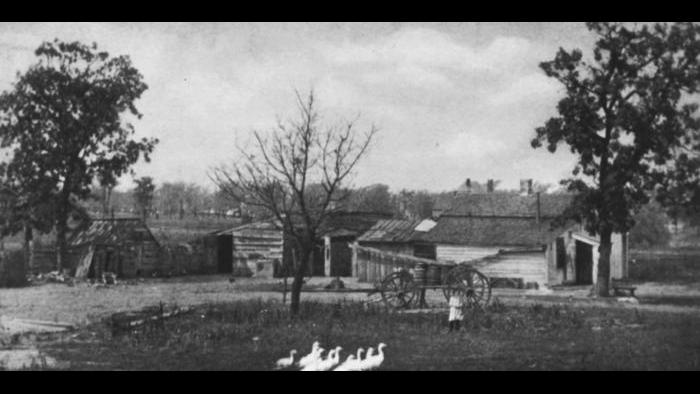 The controversial, longstanding shanties occupied by the Sheehan family at the western edge of patrician Kenwood, as they appeared in 1888.