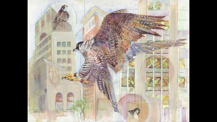 (Peggy Macnamara)
