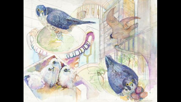 (Peggy Macnamara)