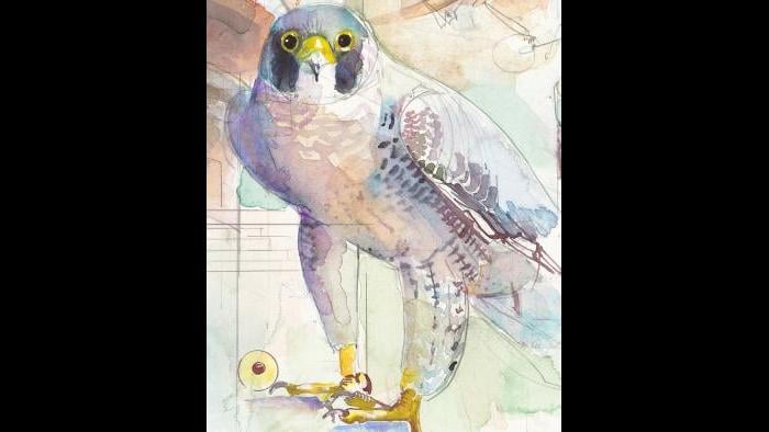 (Peggy Macnamara)