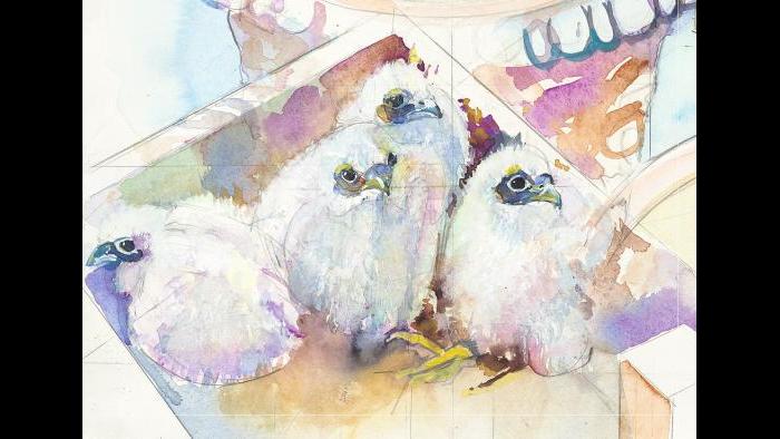 (Peggy Macnamara)
